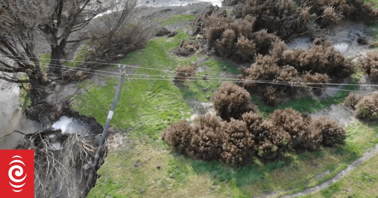 无人机AI系统助力新西兰电力网络维护