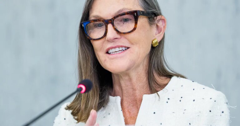 伍德安抚AI泡沫担忧，称投资者已从历史中学到教训