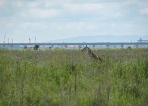 美籍华裔工程师因窃取导弹技术获刑近4年