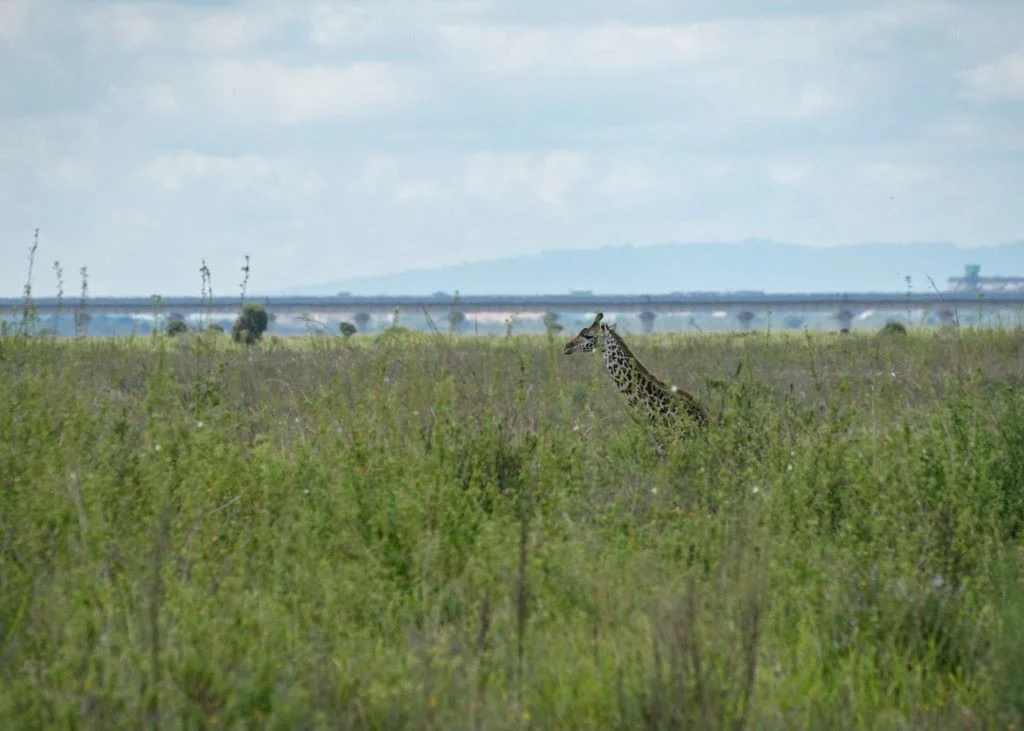 美籍华裔工程师因窃取导弹技术获刑近4年