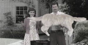 SNL用AI恶搞家庭照片，引发爆笑与深思