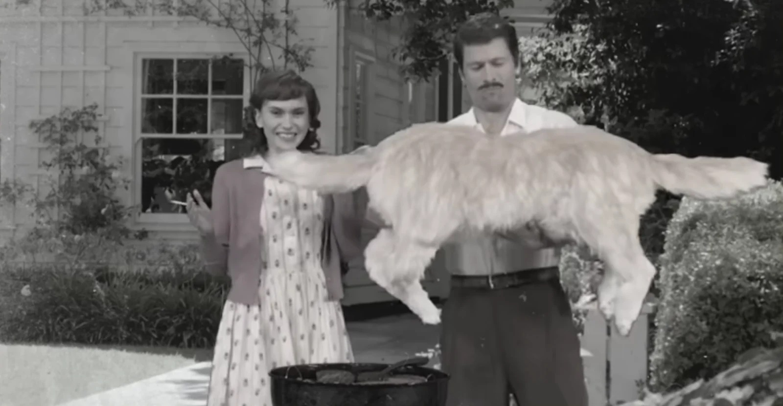 SNL用AI恶搞家庭照片，引发爆笑与深思