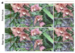 中国团队突破裸眼3D显示技术