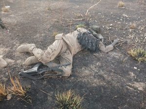 尼日利亚军队击退ISWAP袭击并缴获武器