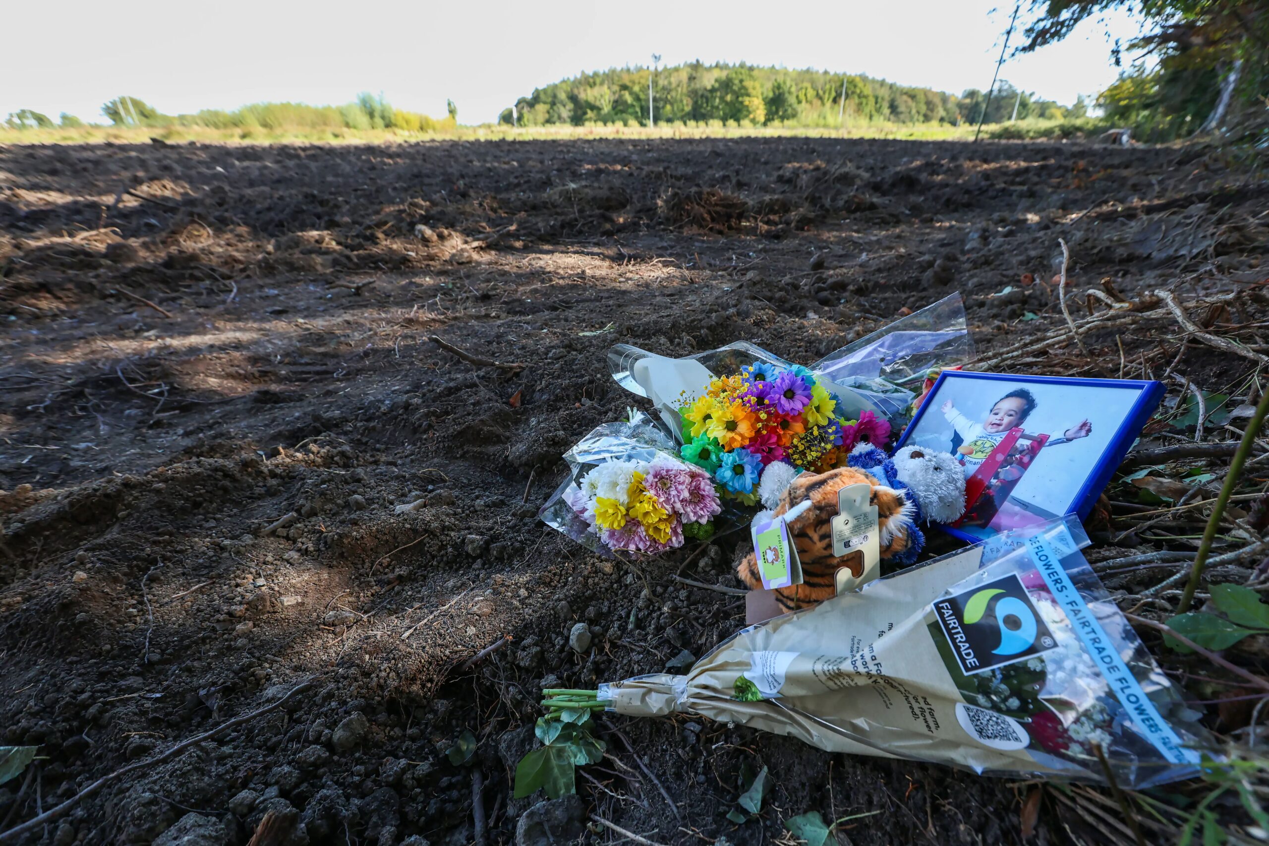 多诺霍否决借1亿欧元购军备提案