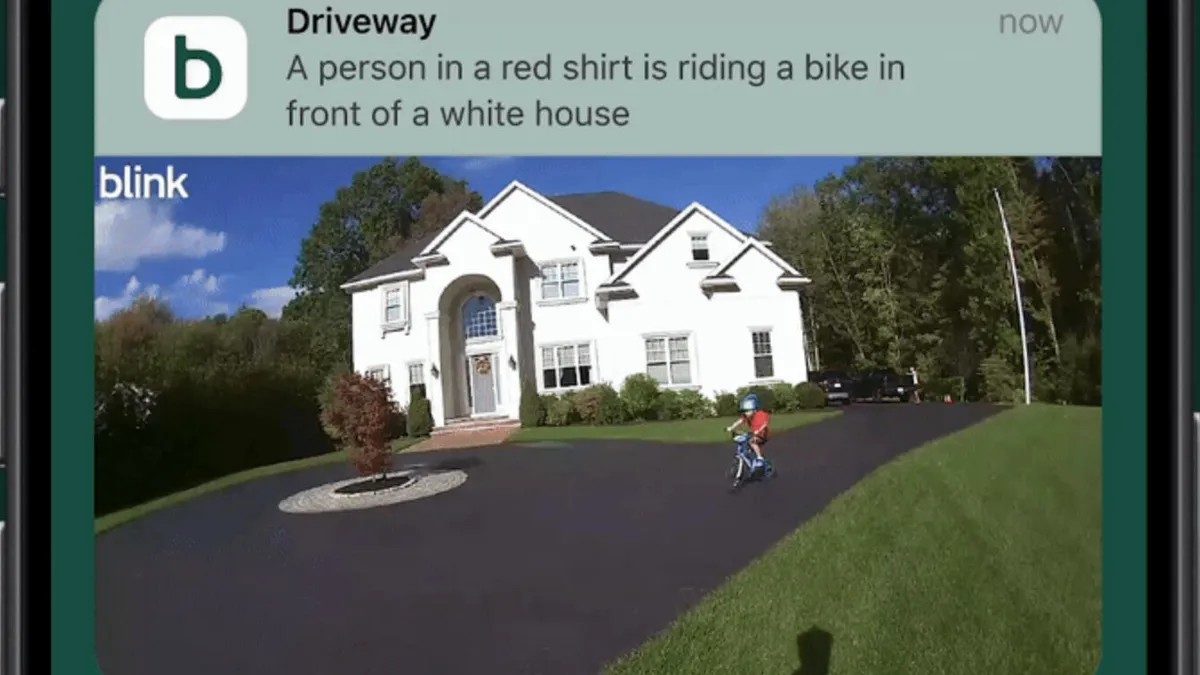 Blink推免费AI视频描述功能