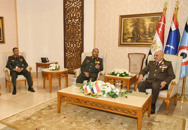 埃及防长及总参谋长会晤多国防长，共商军备合作