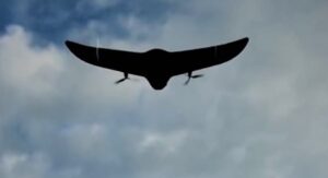 乌克兰击毁俄多型无人机，空中战场优势显著